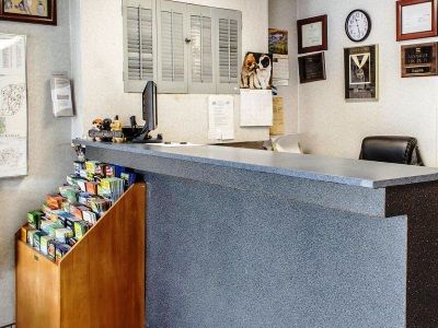 Econo Lodge Frackville Εξωτερικό φωτογραφία